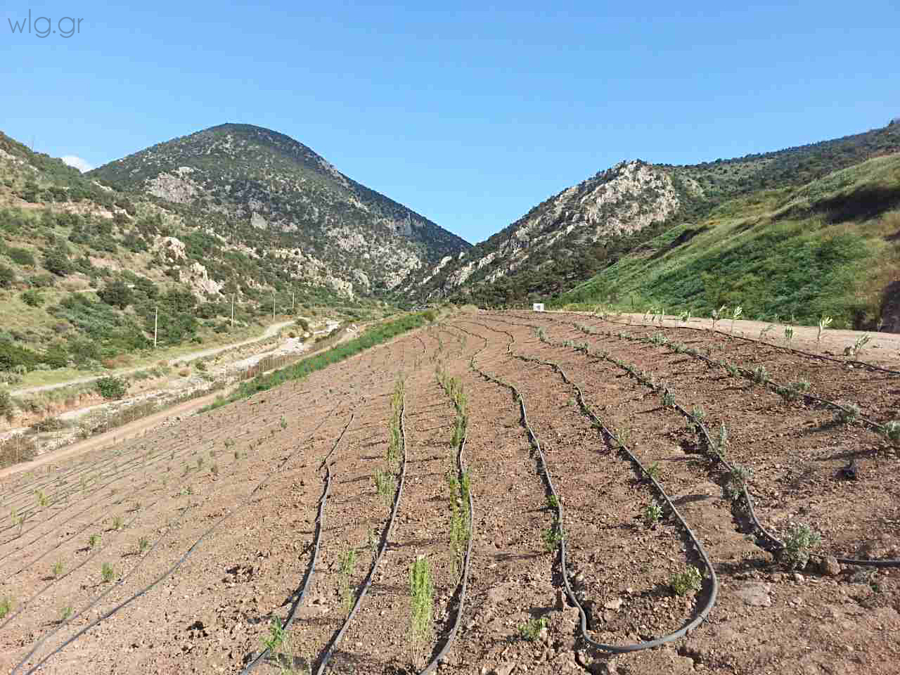 ΧΥΤΕΑ | Αλουμίνιον της Ελλάδος