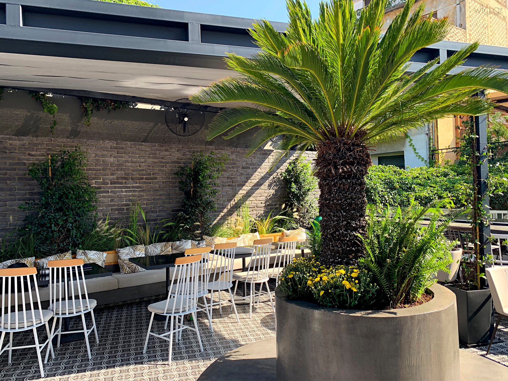 Χελώνα Restaurant - Wine Bar