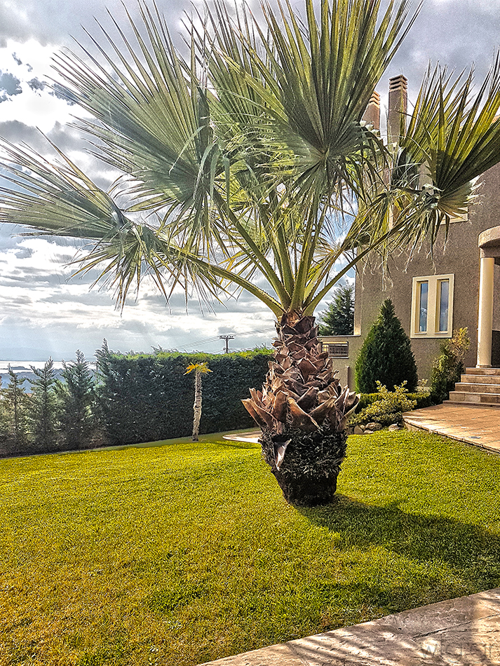 Ιδ. Κατοικία | Ερέτρια