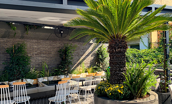 έργα πρασίνου