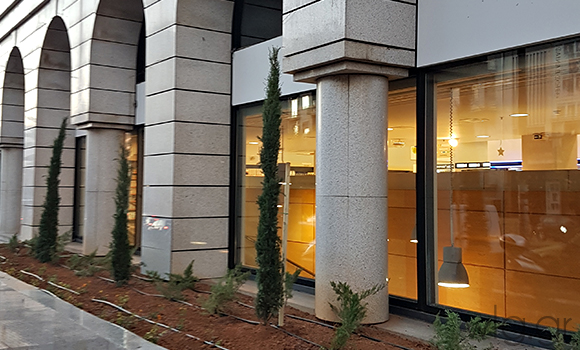 έργα πρασίνου