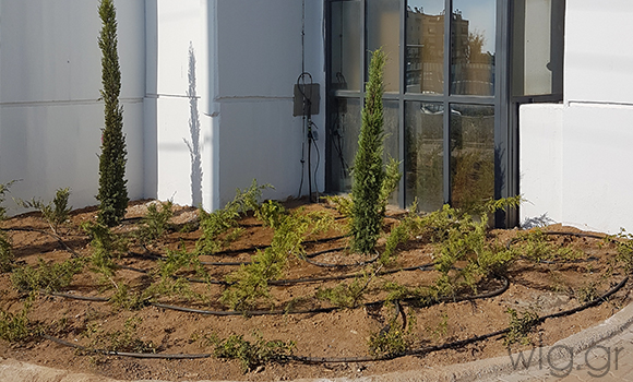 έργα πρασίνου