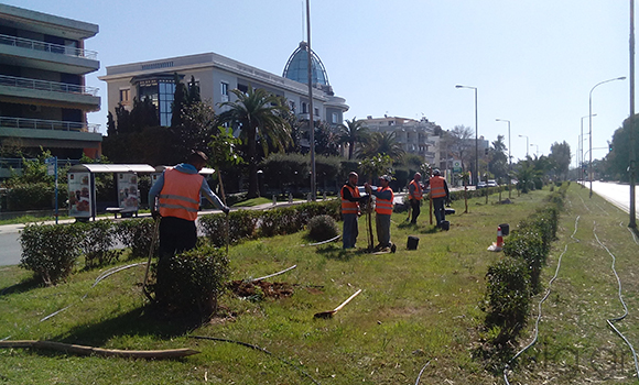 Αποκατάσταση Ανάπλαση Τοπίου στη Λεωφ. Ποσειδώνος - Δημήτρης Χαλκιάς έργα πρασίνου