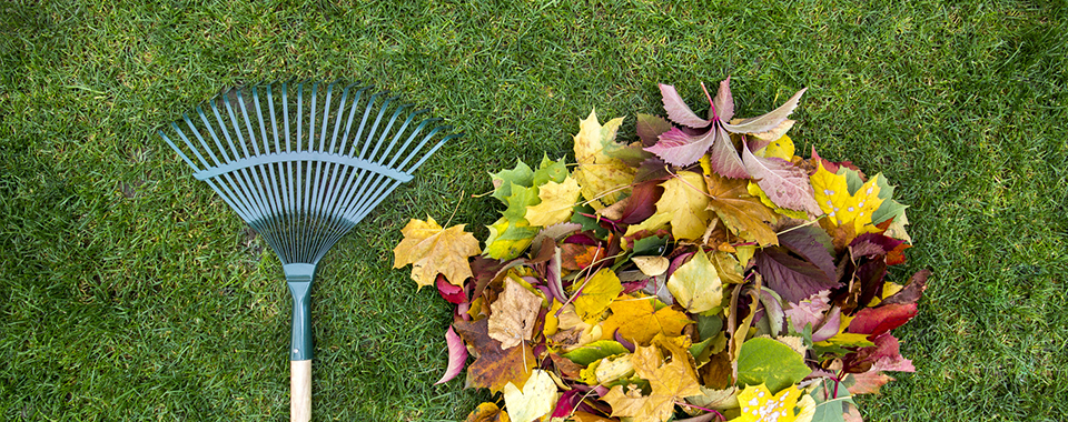 Αποψιλώσεις - Κοπή Χόρτων - Έργα Πρασίνου Δημήτρης Χαλκιάς