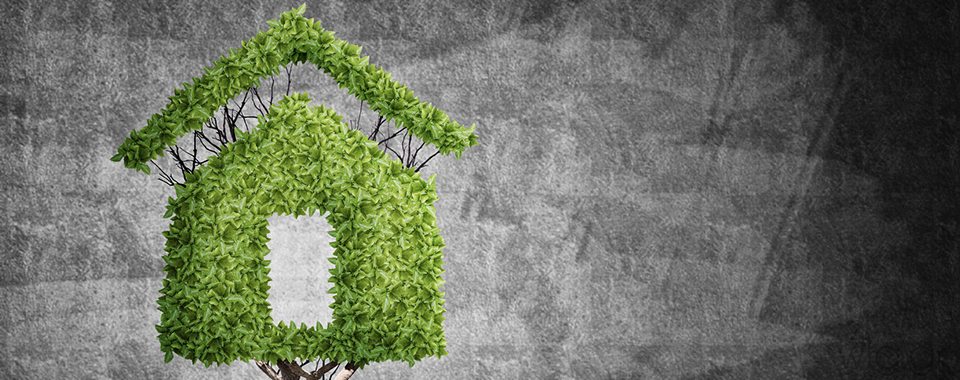 Πράσινες Στέγες - Έργα Πρασίνου Δημήτρης Χαλκιάς