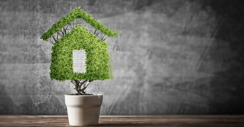 Πράσινες Στέγες - Έργα Πρασίνου Δημήτρης Χαλκιάς